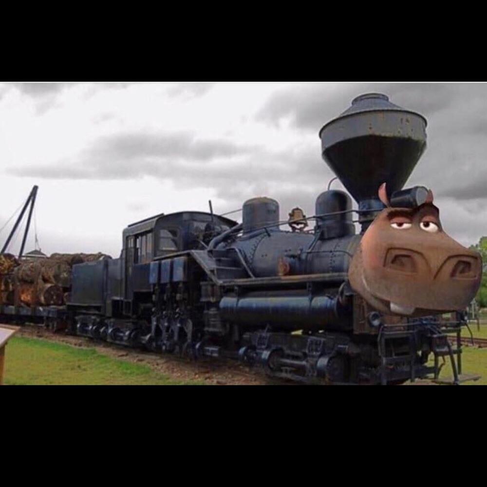 Meet your Posher, Alhussain